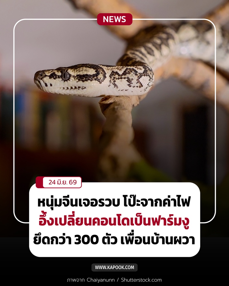 ฟาร์มงู