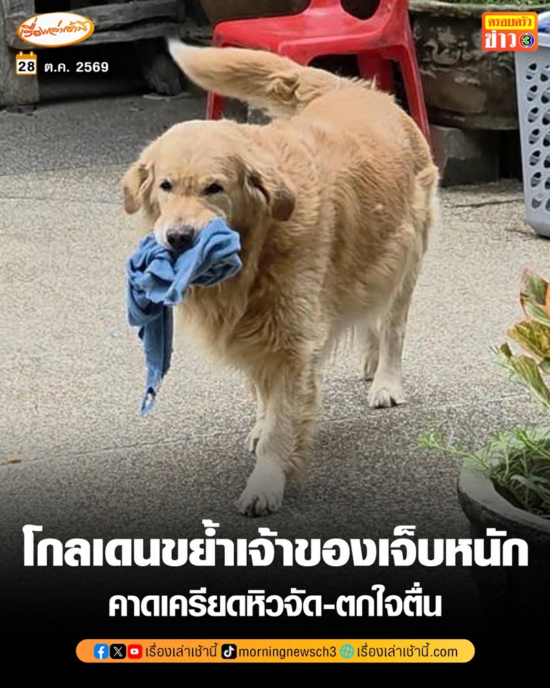 โกลเด้นกัดคน โกลเด้นกัดคน