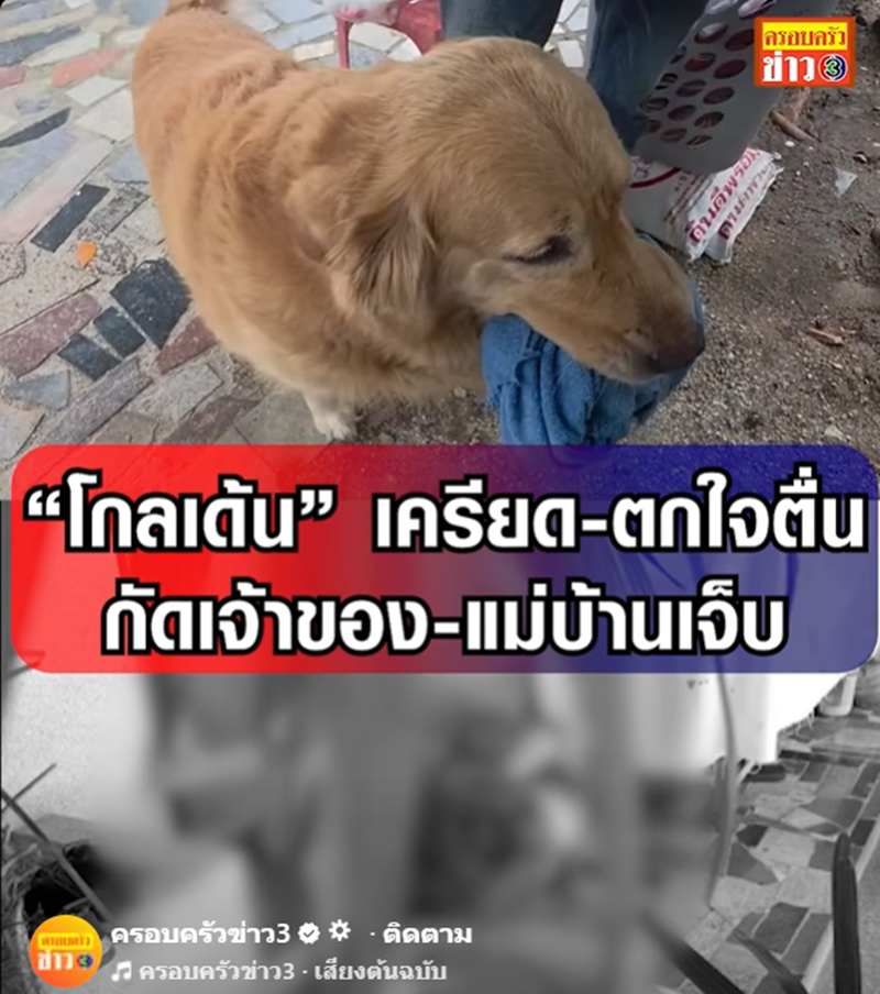ภาพจาก เฟซบุ๊ก ครอบครัวข่าว 3 ภาพจาก เฟซบุ๊ก ครอบครัวข่าว 3