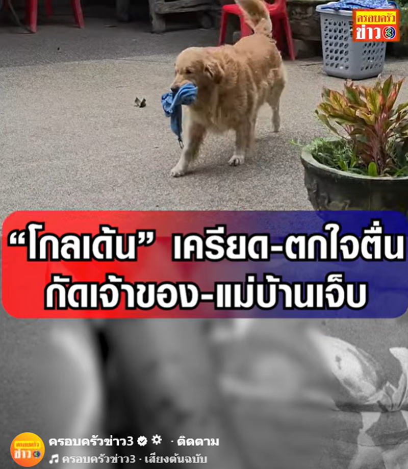 ภาพจาก เฟซบุ๊ก ครอบครัวข่าว 3 ภาพจาก เฟซบุ๊ก ครอบครัวข่าว 3