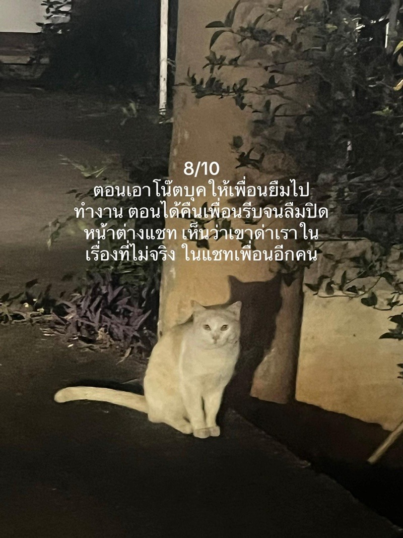 ดราม่านักศึกษา มข.
