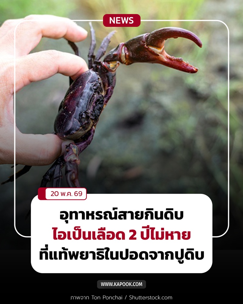 ปูดิบ