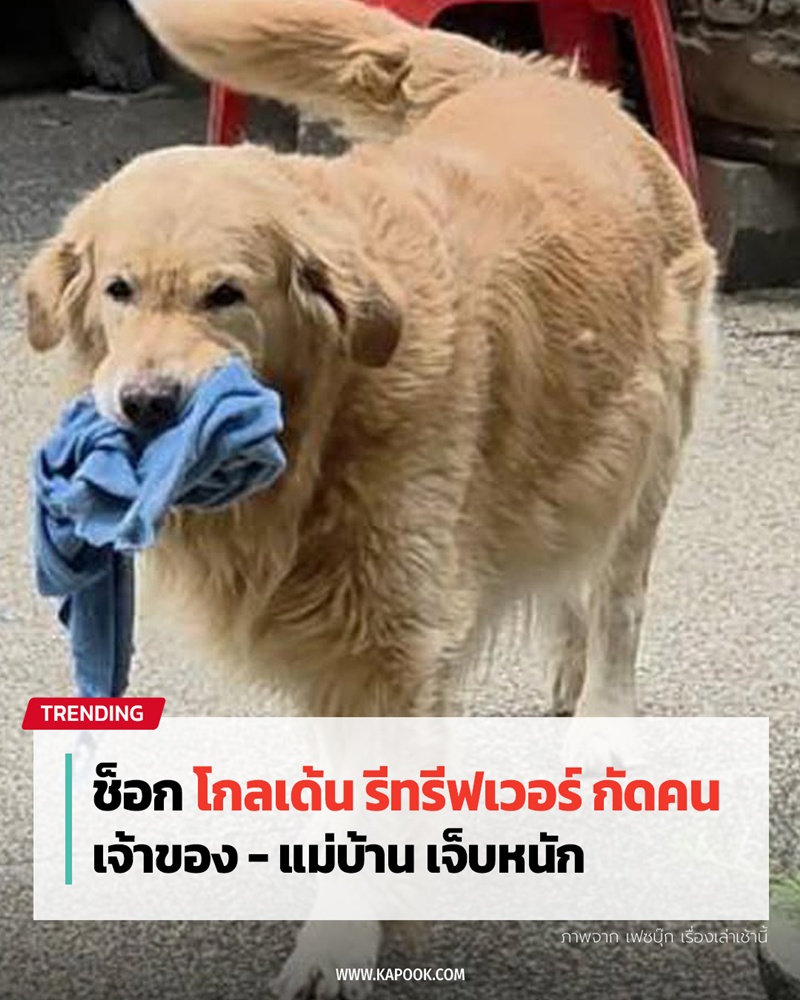 โกลเด้นกัดคน โกลเด้นกัดคน