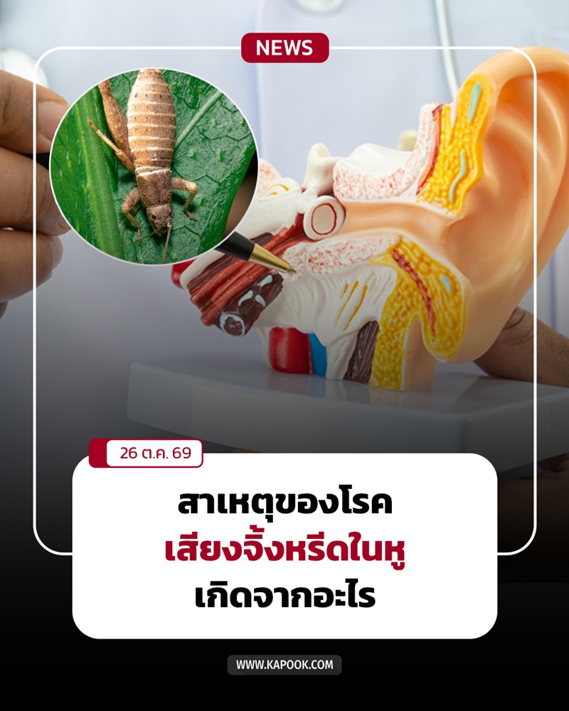 โรคเสียงดังในหู โรคเสียงดังในหู