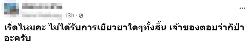 งูรัดตุ๊กแก