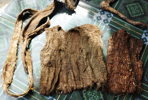 เวียดนามพบ 2 พ่อลูก ใช้ชีวิตในป่านาน 40 ปี ตั้งแต่สงครามเวียดนาม