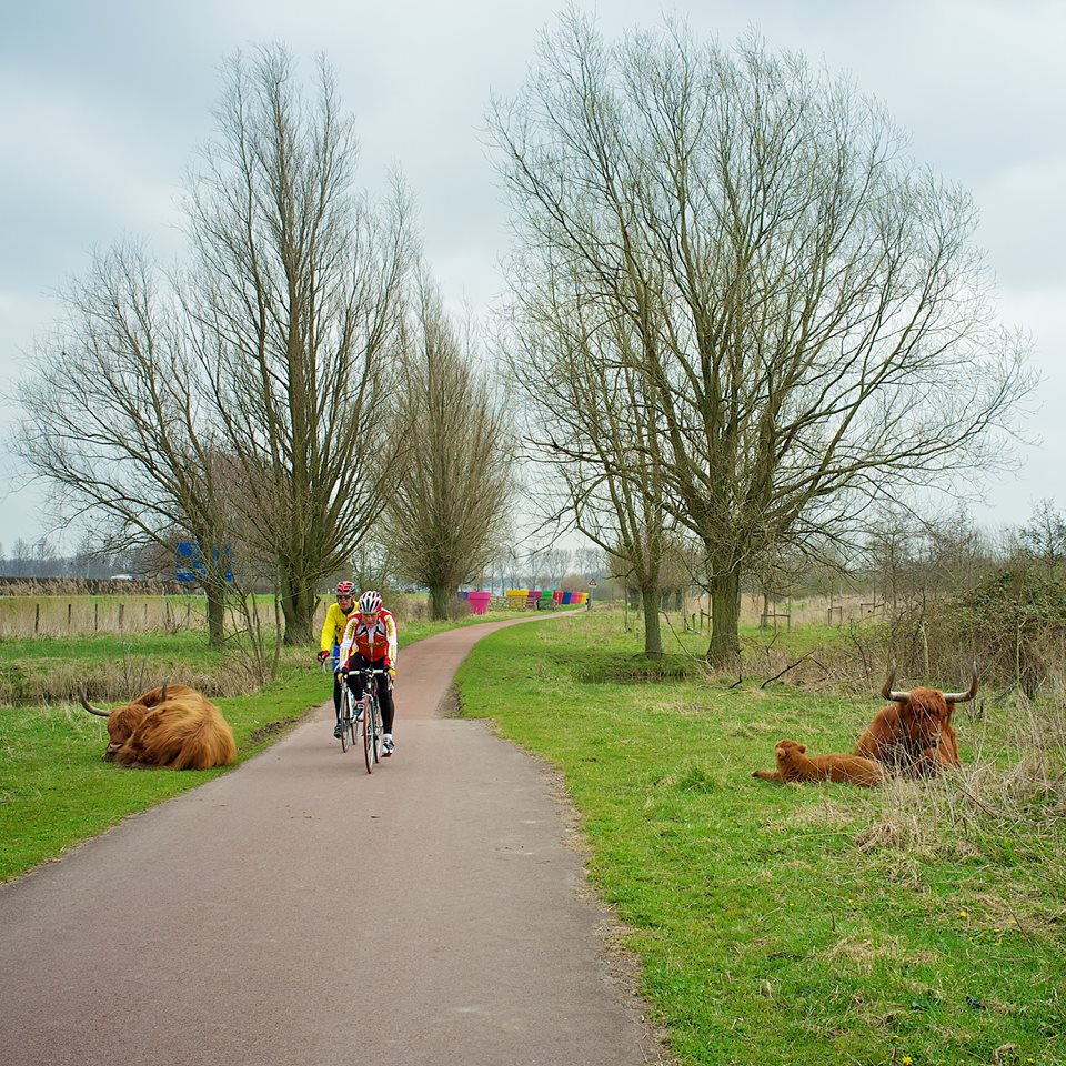 วิวเมืองอัมสเตอร์ดัม 