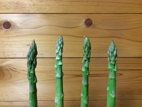 งานแกะสลัก