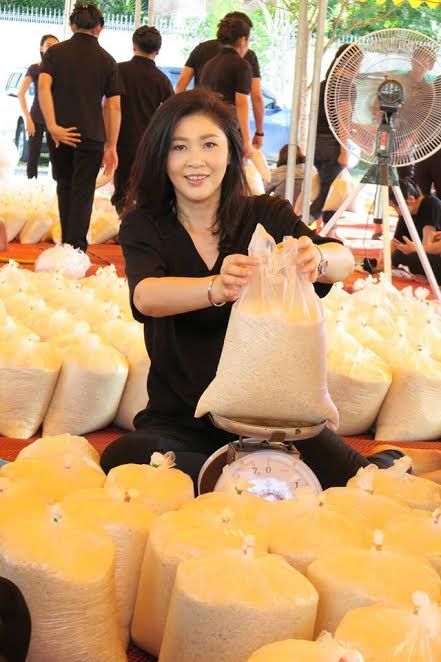 ยิ่งลักษณ์ ซื้อข้าวช่วยชาวนา