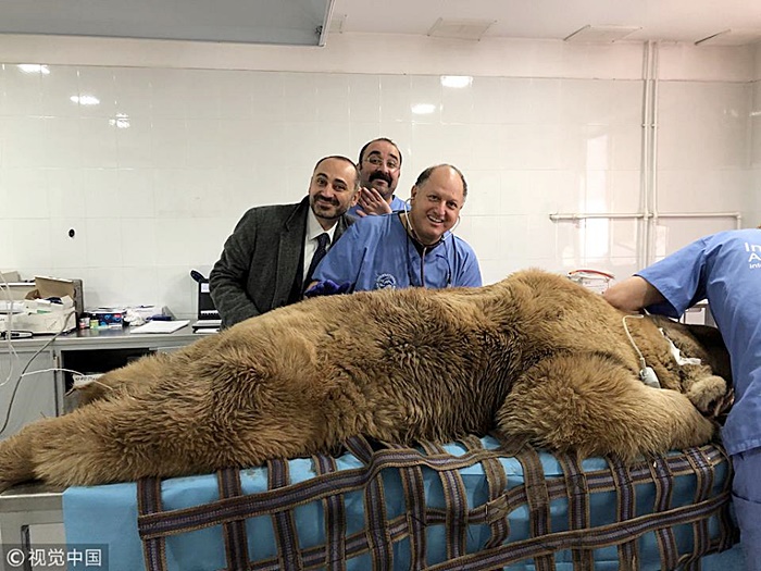 ช่วยเหลือสัตว์