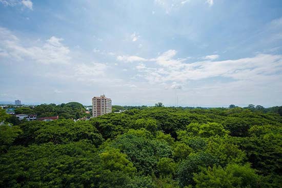 คัดค้าน ธนารักษ์สร้างคอนโดใกล้ รร.ดัง