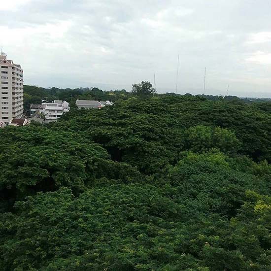 คัดค้าน ธนารักษ์สร้างคอนโดใกล้ รร.ดัง