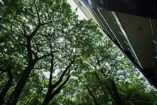 คัดค้าน ธนารักษ์สร้างคอนโดใกล้ รร.ดัง