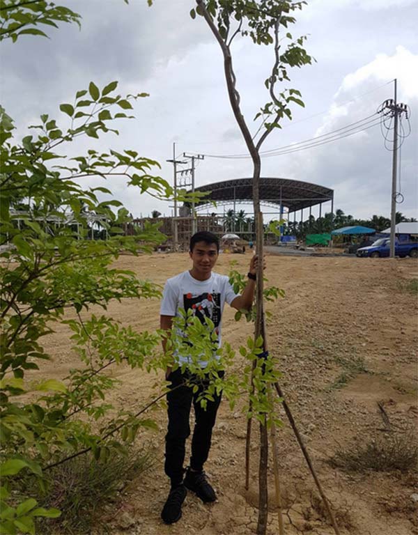 เจ ชนาธิป