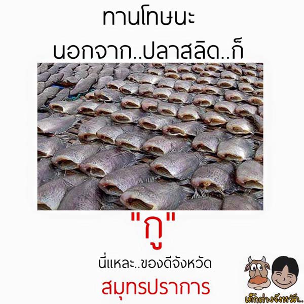 ของดีประจำจังหวัด