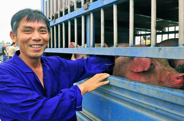 หมูที่จีน