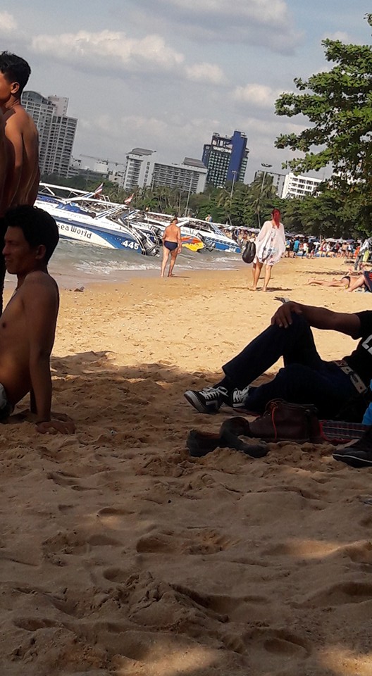 ฝรั่งเก็บขยะ