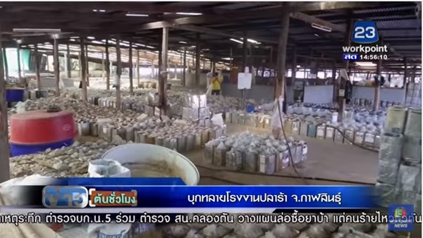 บุกทลายโรงงานน้ำปลาร้า