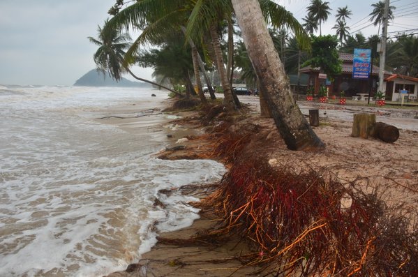 คลื่นซัดชุมพร