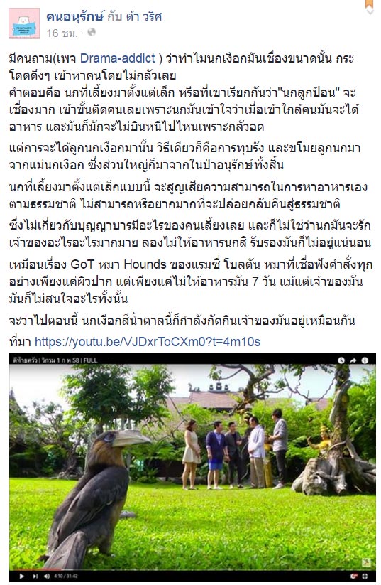 นกเงือกบ้านวิกรม