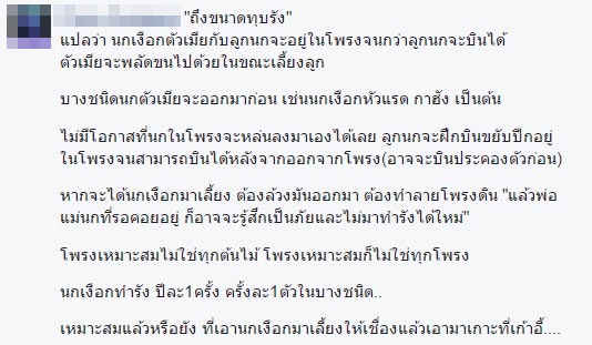 นกเงือกบ้านวิกรม