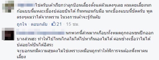 นกเงือกบ้านวิกรม