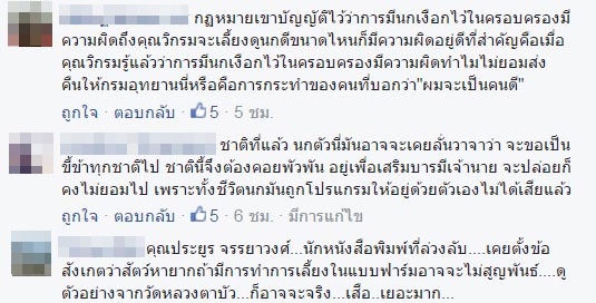 นกเงือกบ้านวิกรม