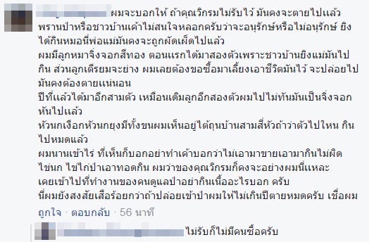 นกเงือกบ้านวิกรม
