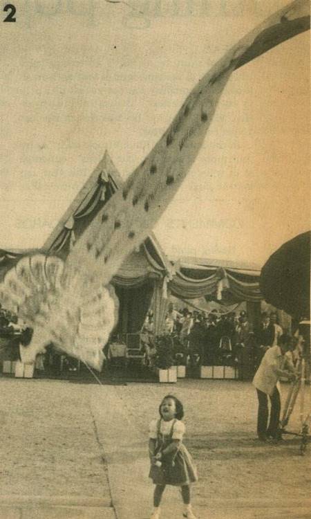 องค์ภา ทรงพระเยาว์