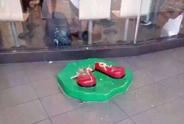 จับมาสคอต