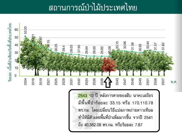 สถานการณ์ป่าไม้ไทย