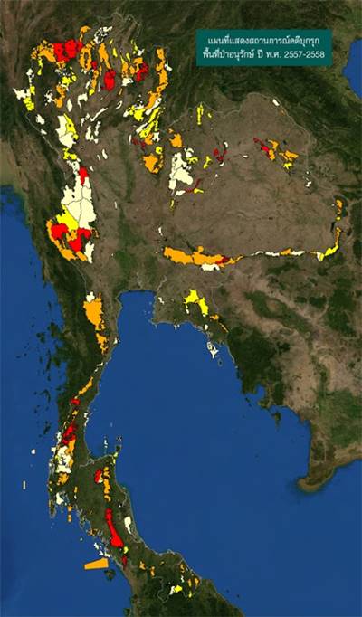 สถานการณ์ป่าไม้ไทย