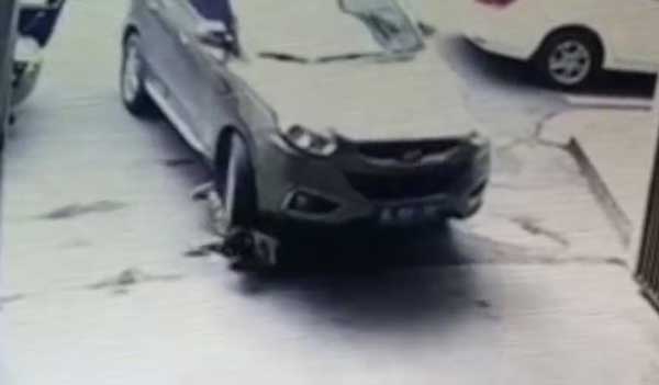 ขับรถเหยียบเด็ก