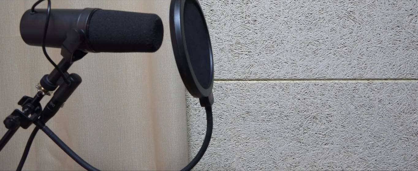 ไก่ร้องเพลง