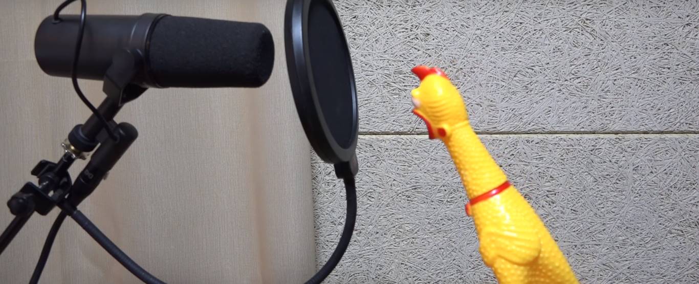 ไก่ร้องเพลง