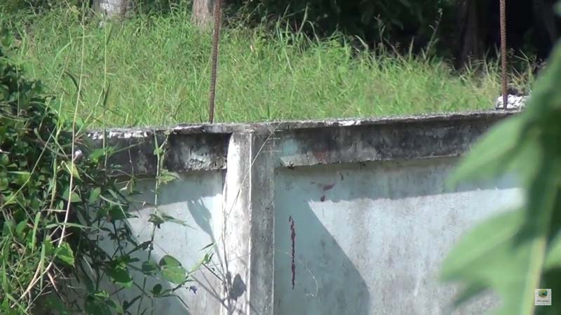 โจรปล้นผู้ใหญ่บ้าน