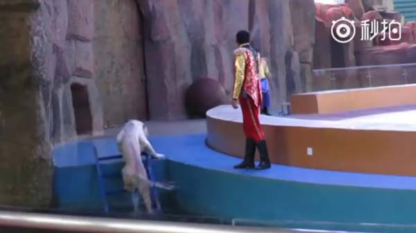 ทรมาณเสือ