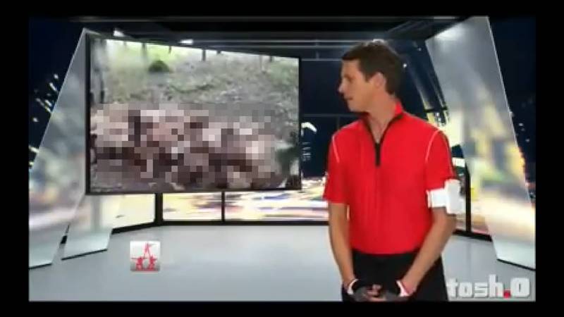 ฝึกทหาร