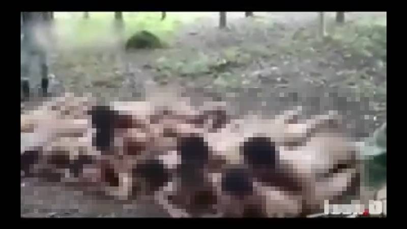 ฝึกทหาร