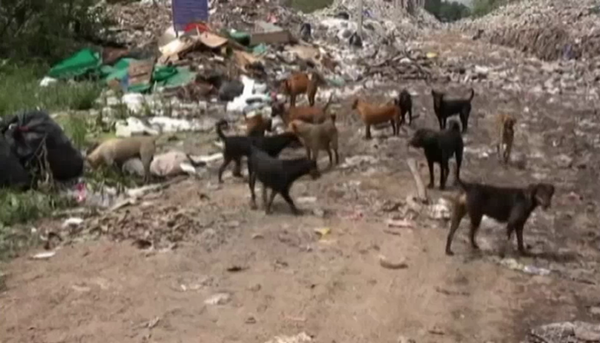 ทิ้งขยะในที่ดินชาวบ้าน