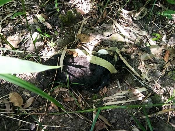 ผอ. อ้อย