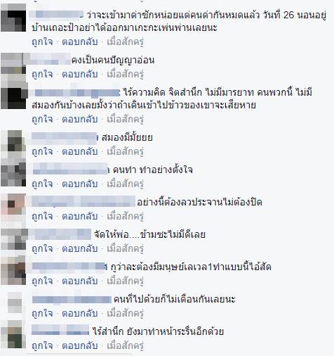 ถนนดอกไม้เพื่อพ่อ