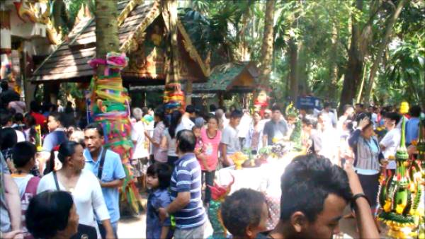 ป่าคำชะโนด