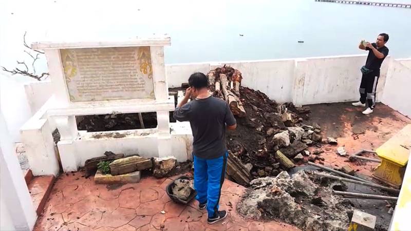 ต้นศรีมหาโพธิ์ 