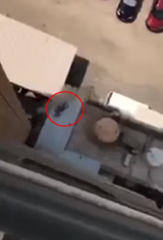 คนตกตึก