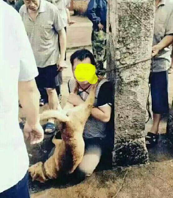 น่วม ! 2 โจรขโมยหมาไปกินโดนชาวบ้านจับมัด-ซ้อม 9 ชั่วโมง เอาซากหมาห้อยคอ