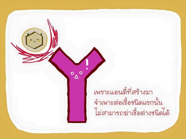 การ์ตูนโรคไข้เลือดออก