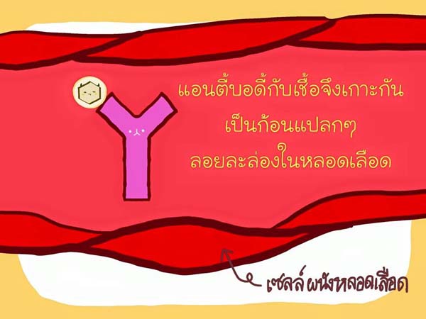 การ์ตูนโรคไข้เลือดออก
