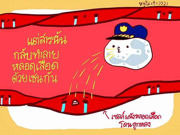การ์ตูนโรคไข้เลือดออก