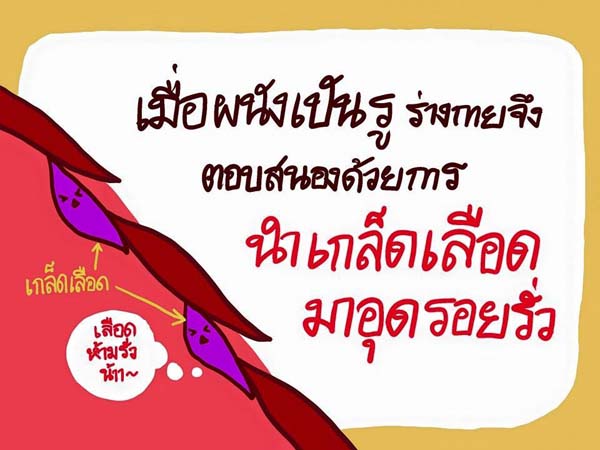 การ์ตูนโรคไข้เลือดออก